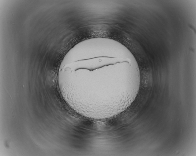 X0000102230701200808081347