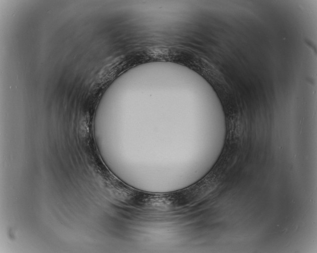 X0000102230702200808081347