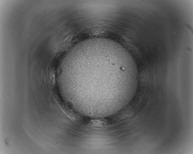 X0000102230703200808081347