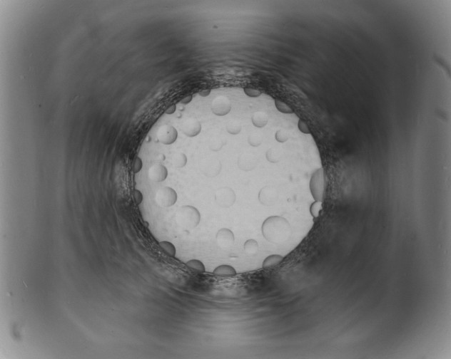 X0000102230705200808081347