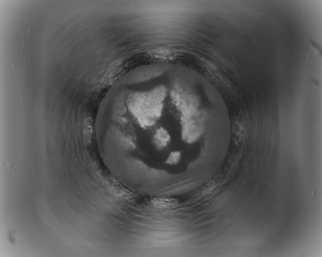 X0000102230707200808081347