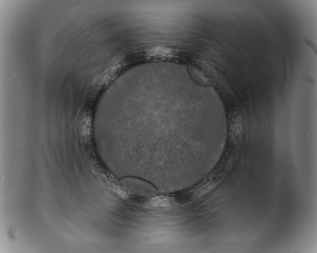 X0000102230708200808081347