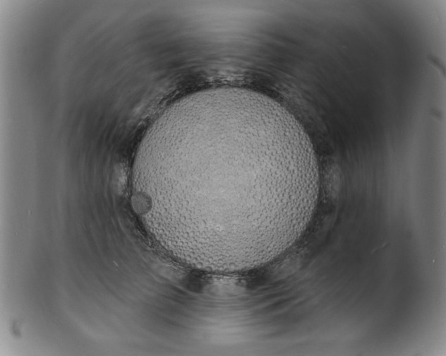 X0000102230709200808081347