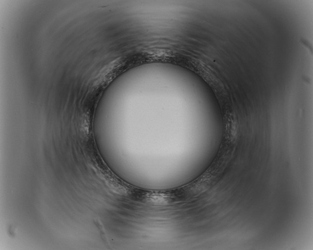 X0000102230710200808081347