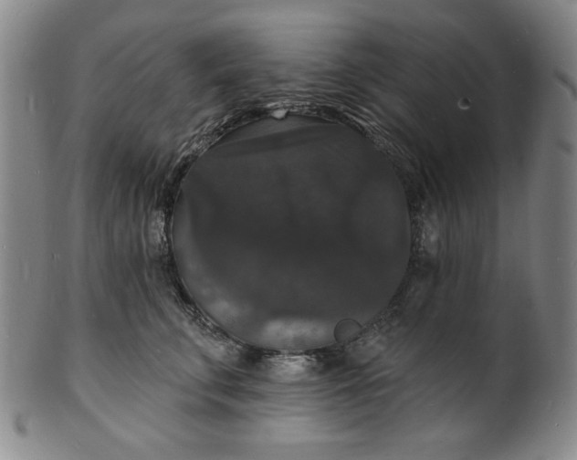 X0000102230711200808081347