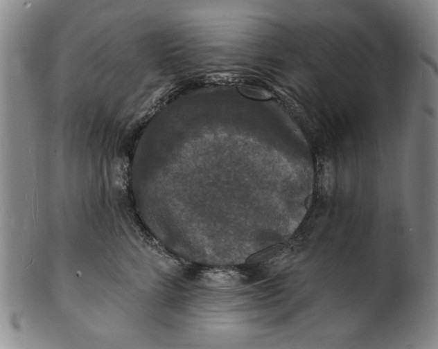 X0000102230712200808081347