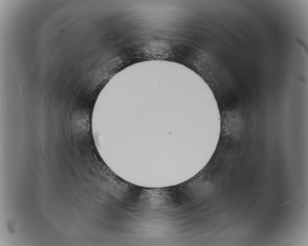 X0000102230713200808081347