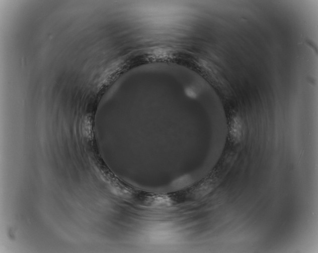 X0000102230715200808081347