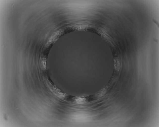 X0000102230718200808081347