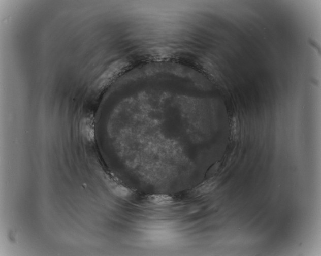 X0000102230719200808081347