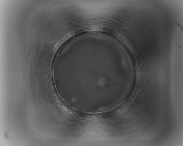 X0000102230721200808081347