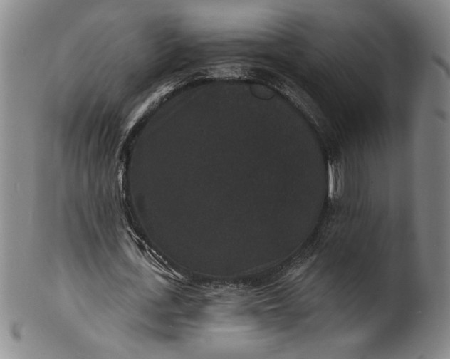 X0000102230723200808081347
