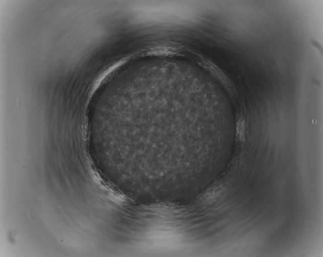 X0000102230724200808081347