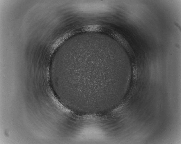 X0000102230725200808081347