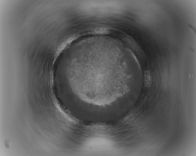 X0000102230726200808081347