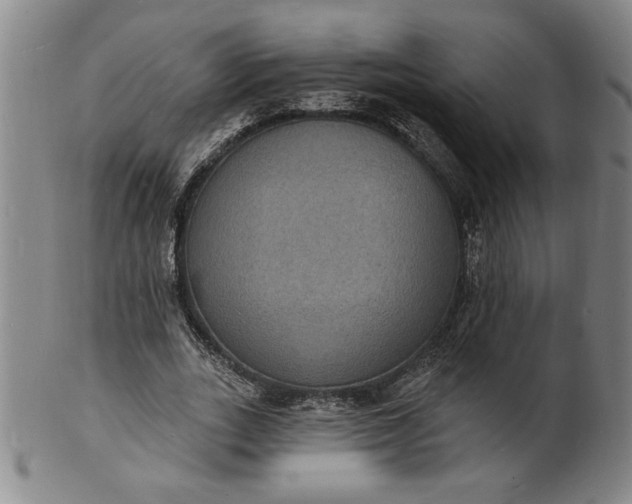X0000102230727200808081347