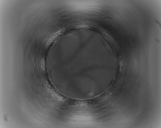 X0000102230729200808081347