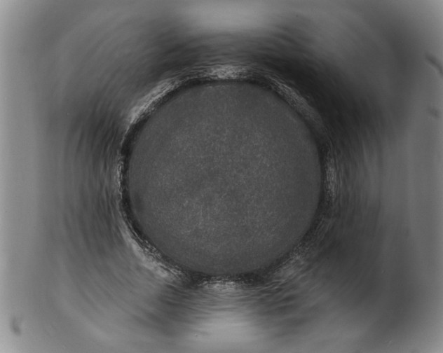 X0000102230730200808081347