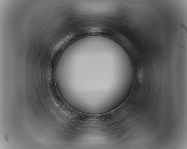 X0000102230732200808081347