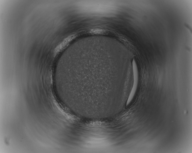 X0000102230734200808081347