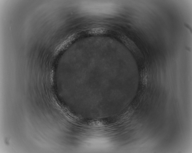 X0000102230735200808081347