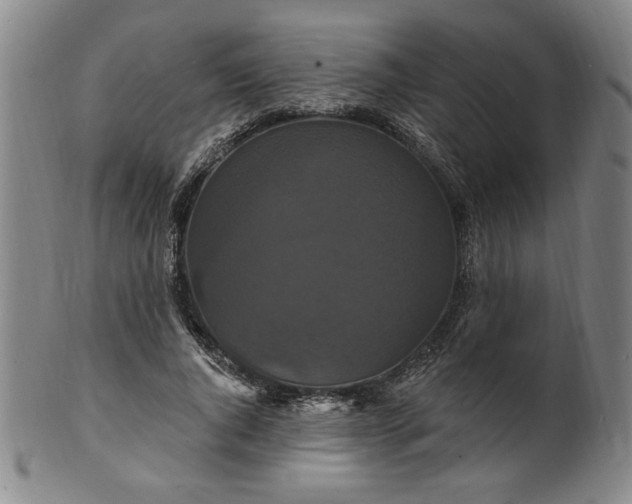 X0000102230736200808081347