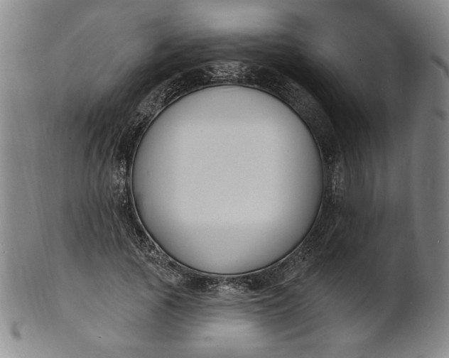 X0000102230737200808081347