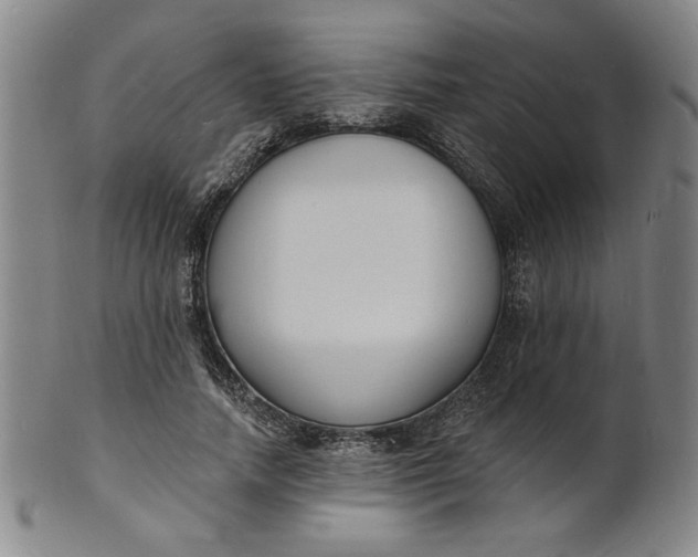 X0000102230738200808081347