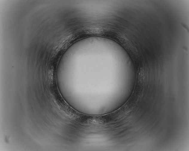 X0000102230739200808081347