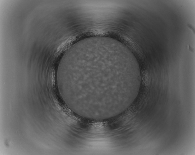 X0000102230740200808081347