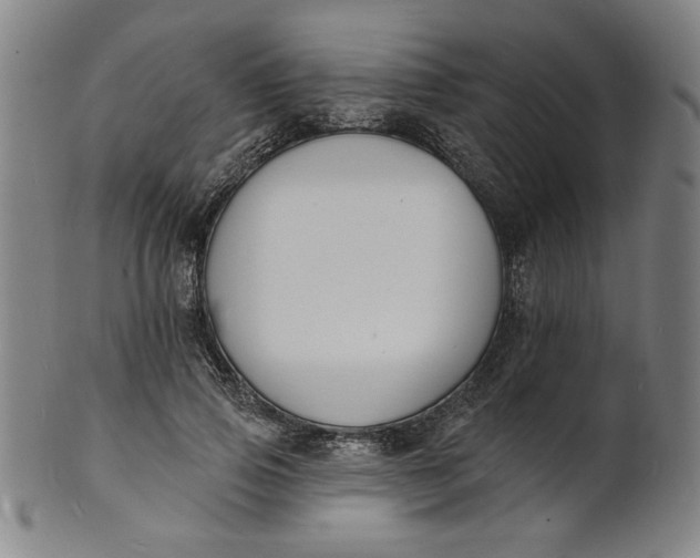 X0000102230741200808081347