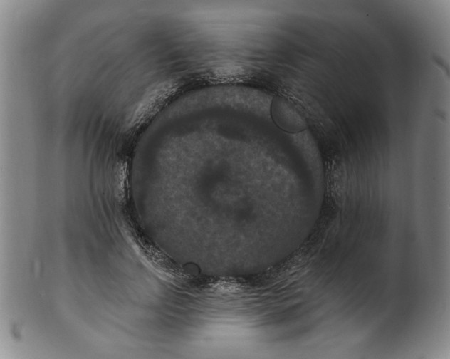X0000102230742200808081347