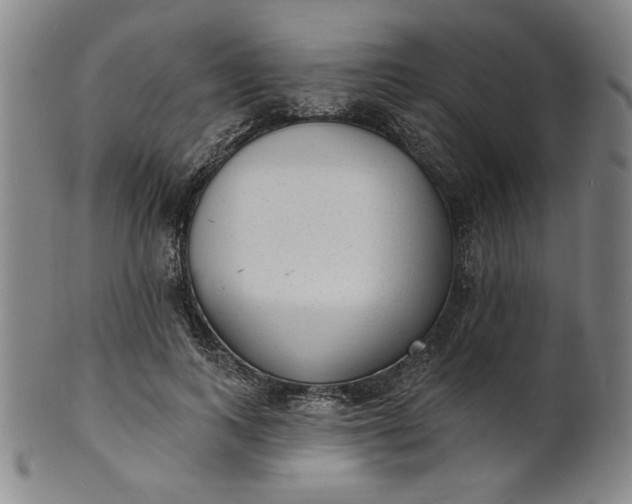 X0000102230743200808081347