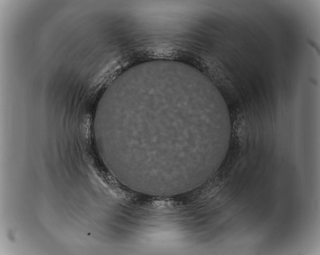 X0000102230744200808081347