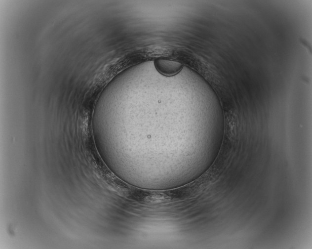 X0000102230745200808081347