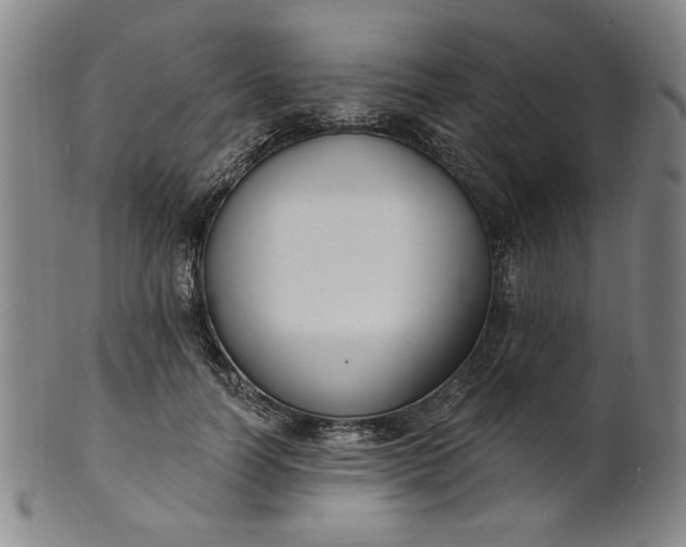X0000102230746200808081347
