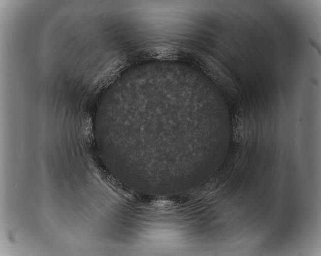 X0000102230748200808081347