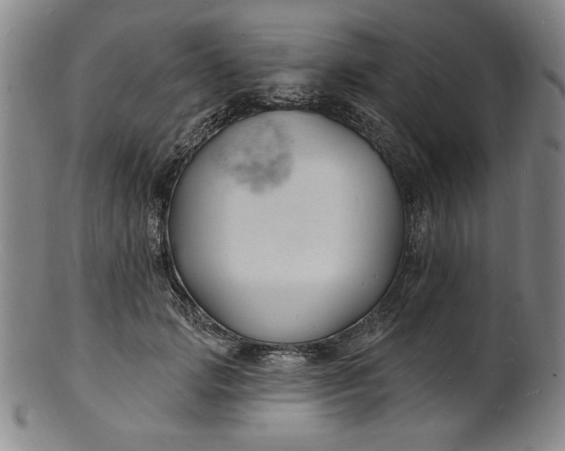 X0000102230749200808081347