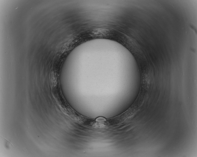 X0000102230751200808081347