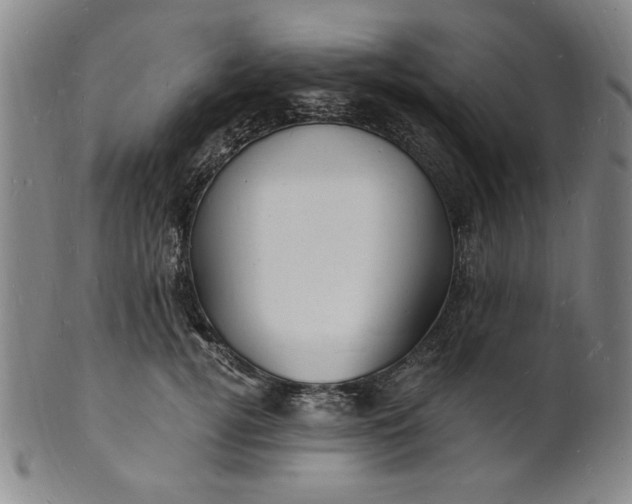 X0000102230752200808081347