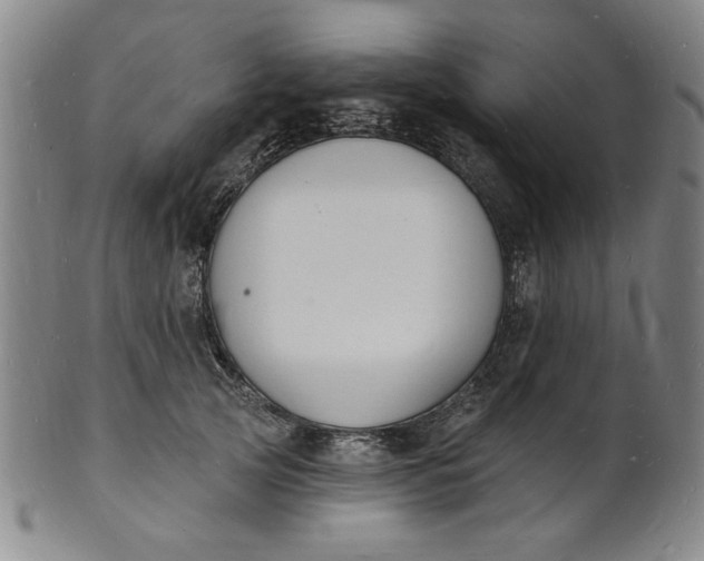 X0000102230753200808081347
