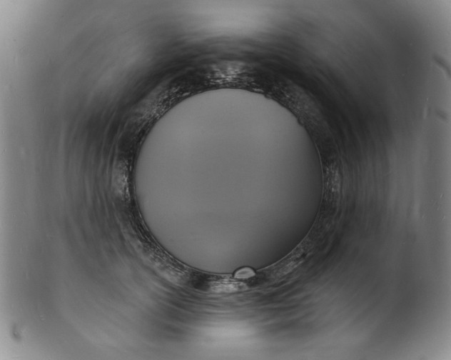 X0000102230754200808081347