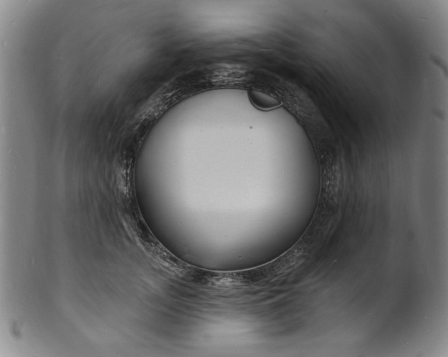 X0000102230755200808081347