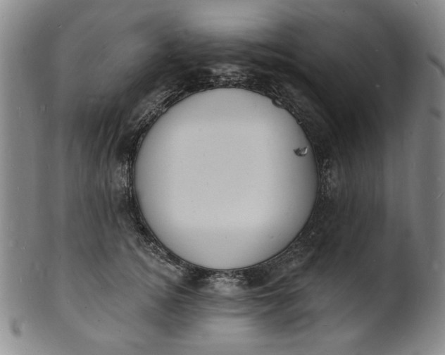 X0000102230756200808081347