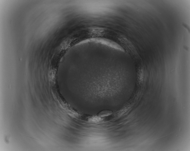 X0000102230759200808081347