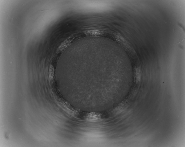 X0000102230760200808081347
