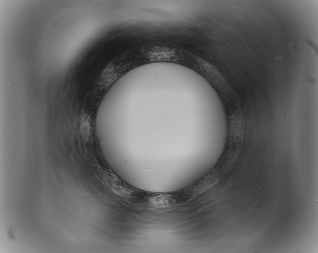 X0000102230761200808081347