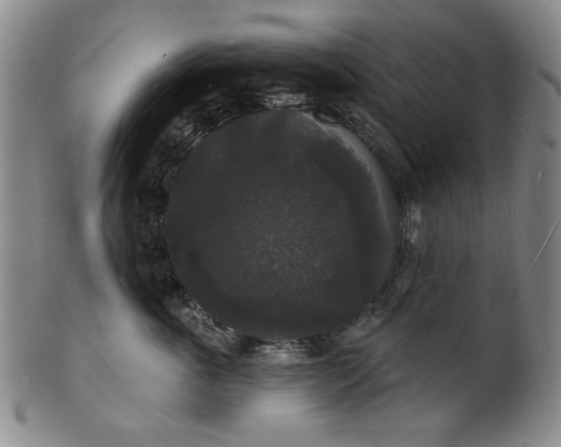 X0000102230763200808081347