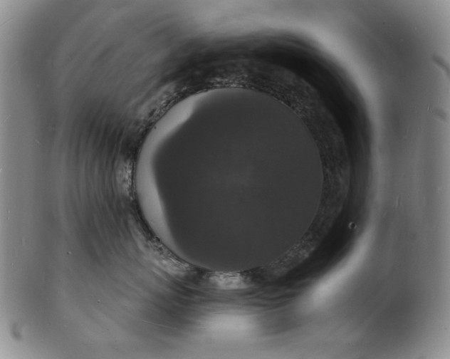 X0000102230767200808081347