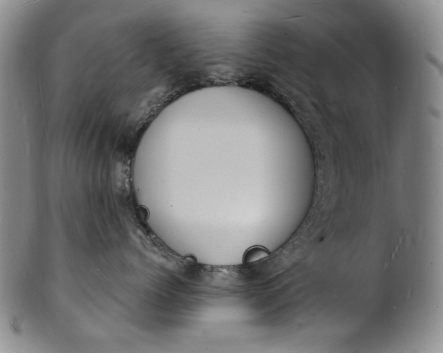 X0000102230768200808081347